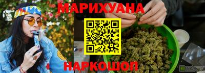 крисы Кингисепп
