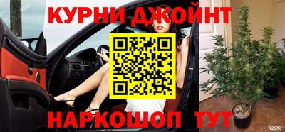 крисы Кингисепп