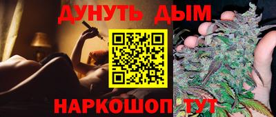 крисы Кингисепп