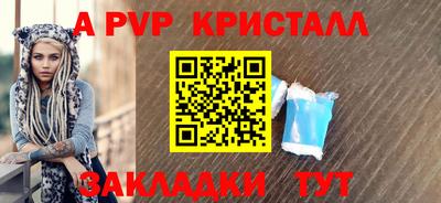 крисы Кингисепп