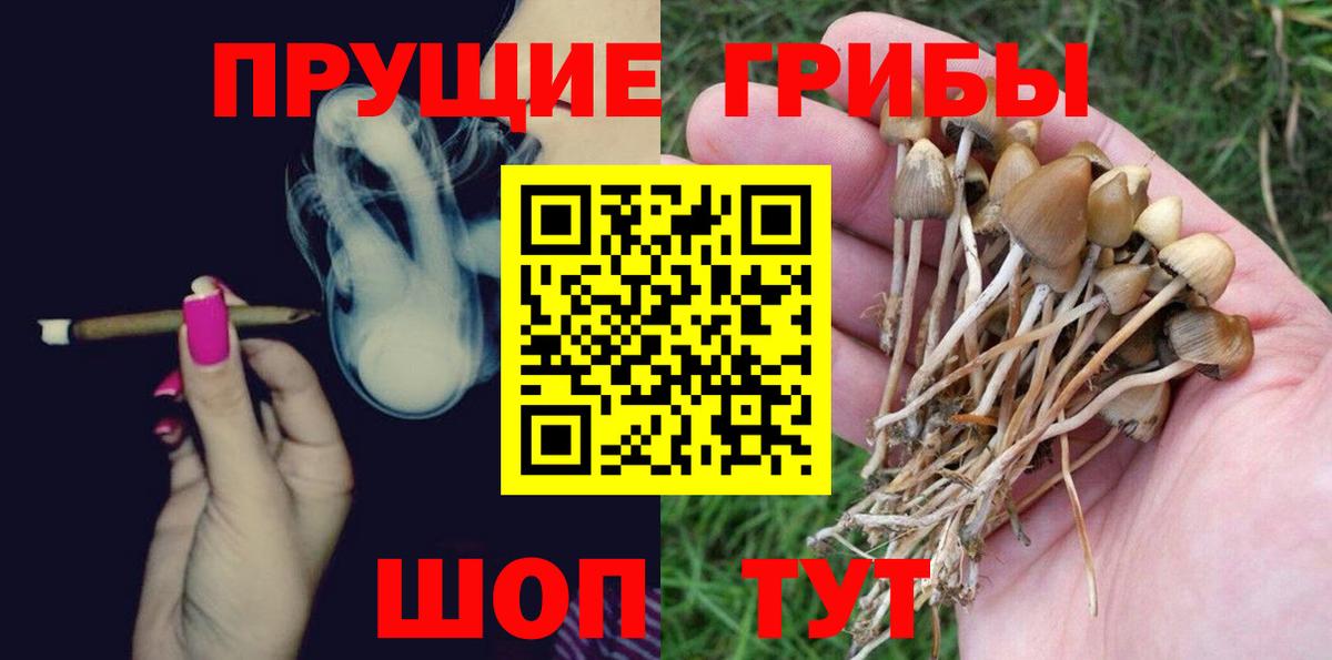 Галлюциногенные грибы ЛСД Бутурлиновка